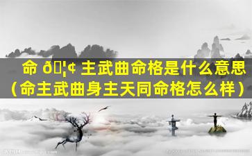 命 🦢 主武曲命格是什么意思（命主武曲身主天同命格怎么样）